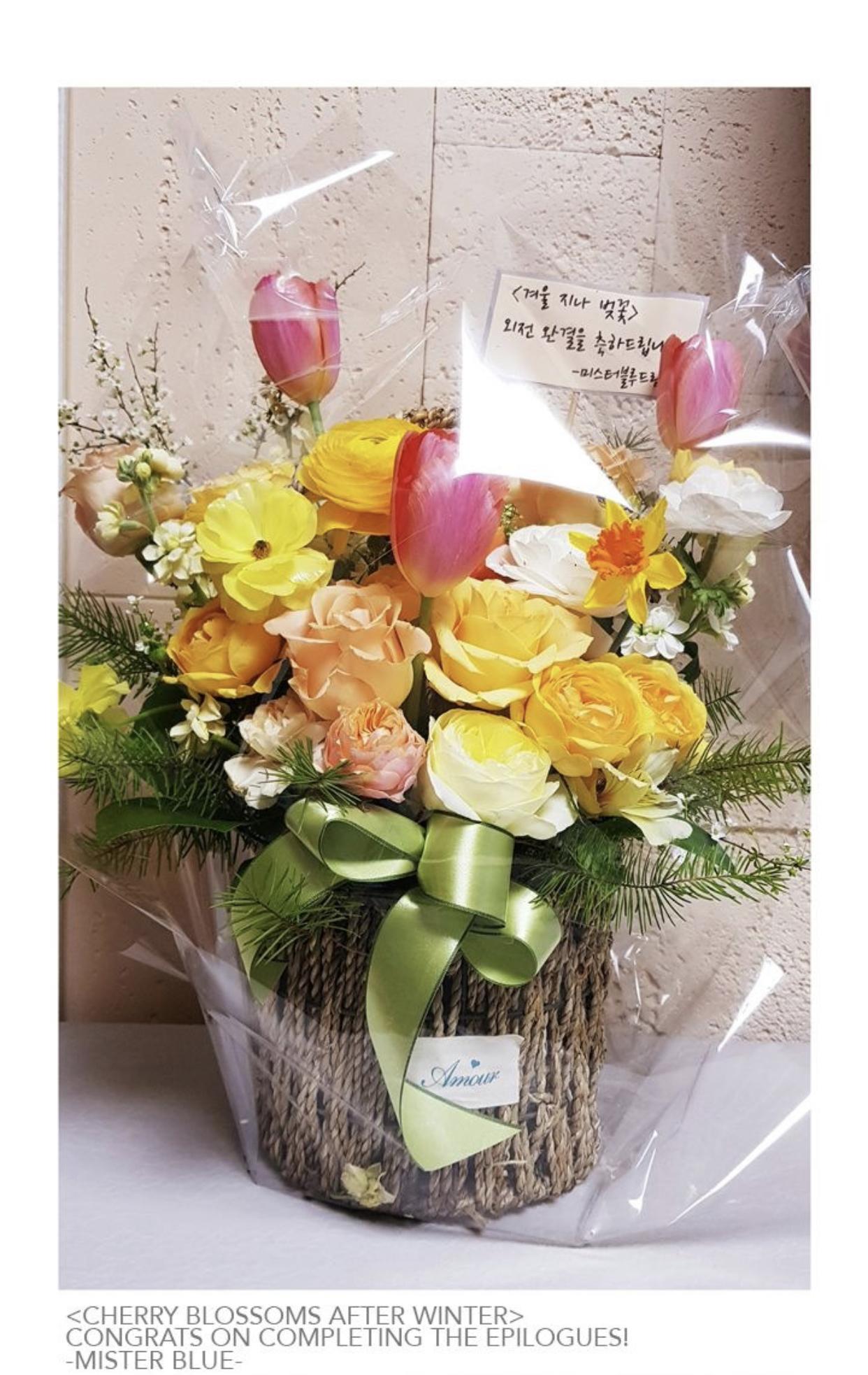 Read Cherry Blossoms After Winter Manga Online