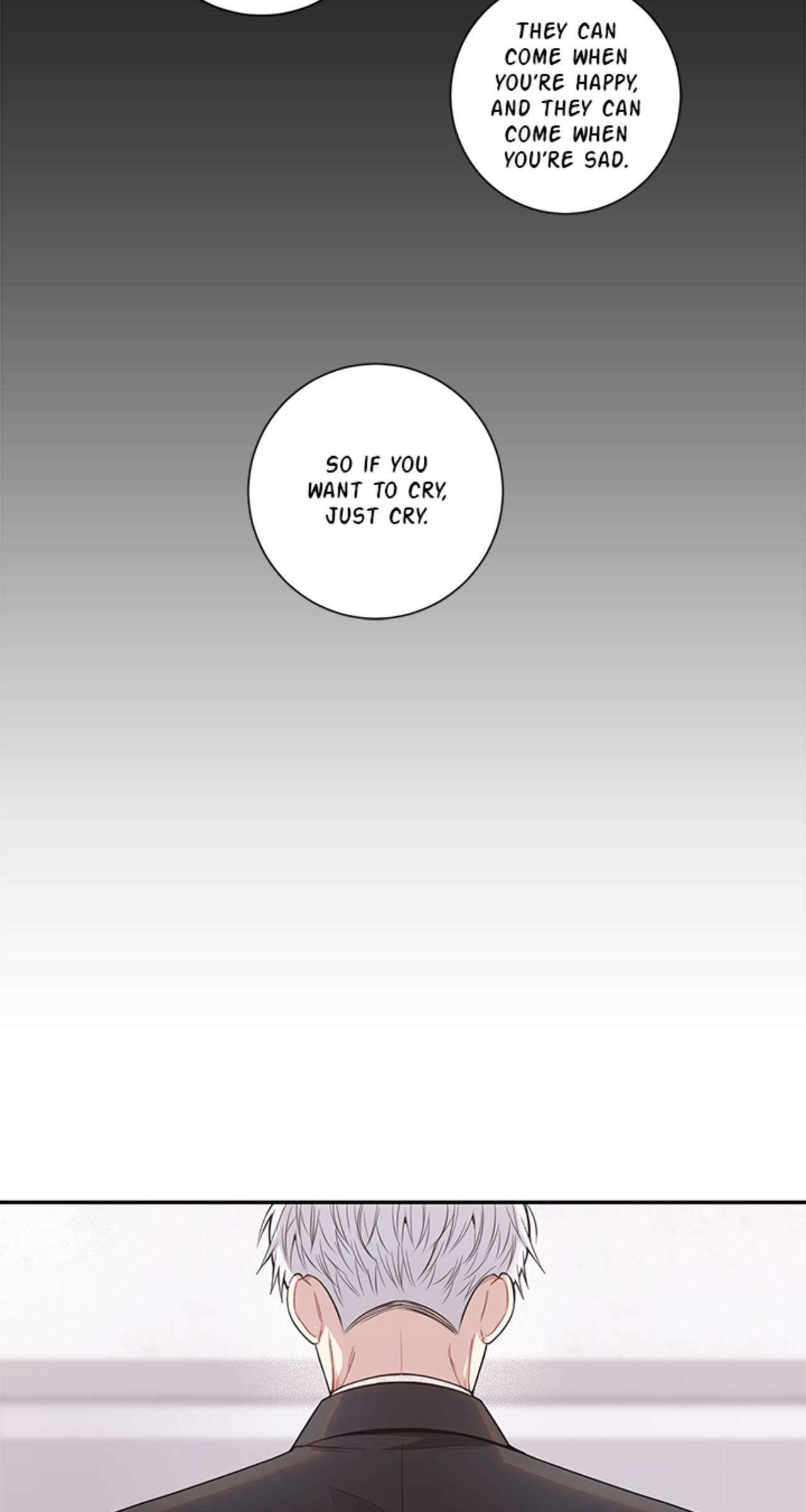 Read Cherry Blossoms After Winter Manga Online