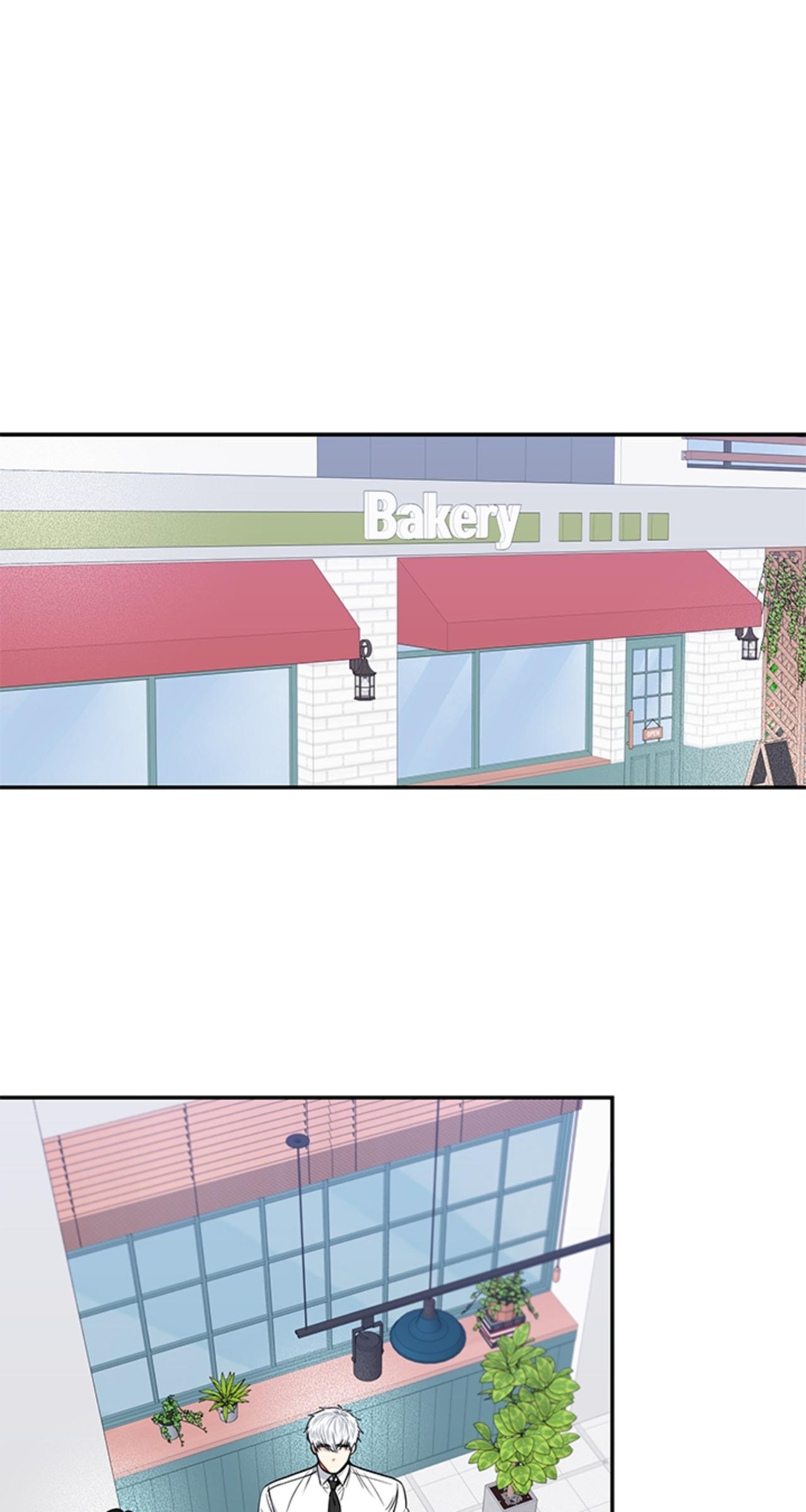 Read Cherry Blossoms After Winter Manga Online