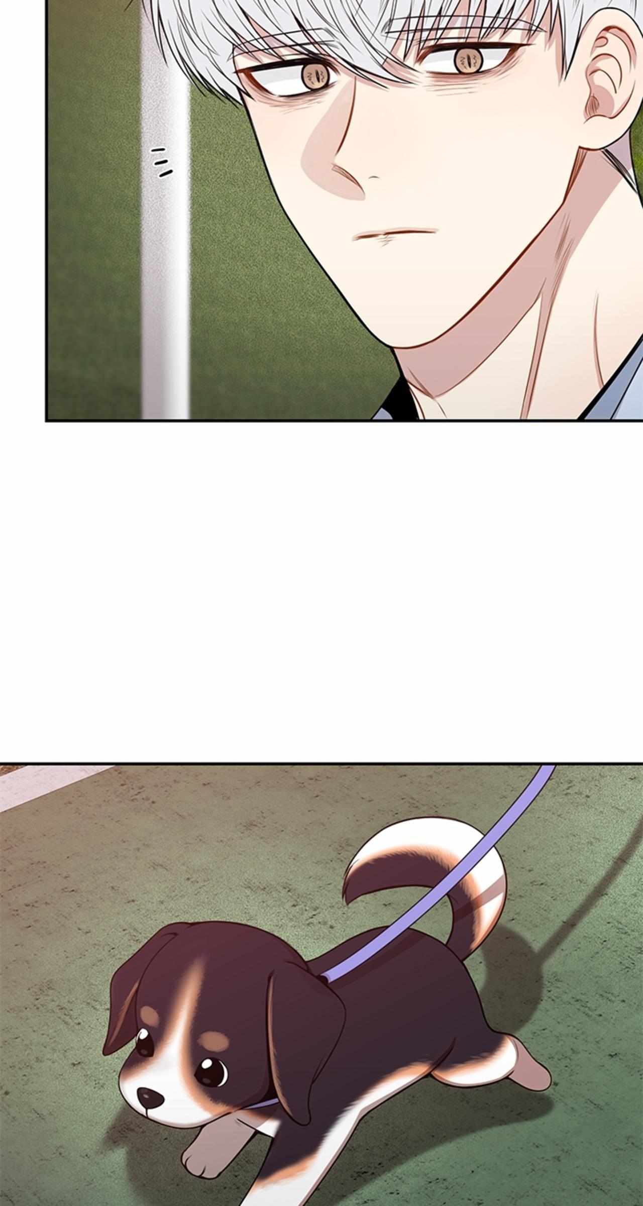 Read Cherry Blossoms After Winter Manga Online