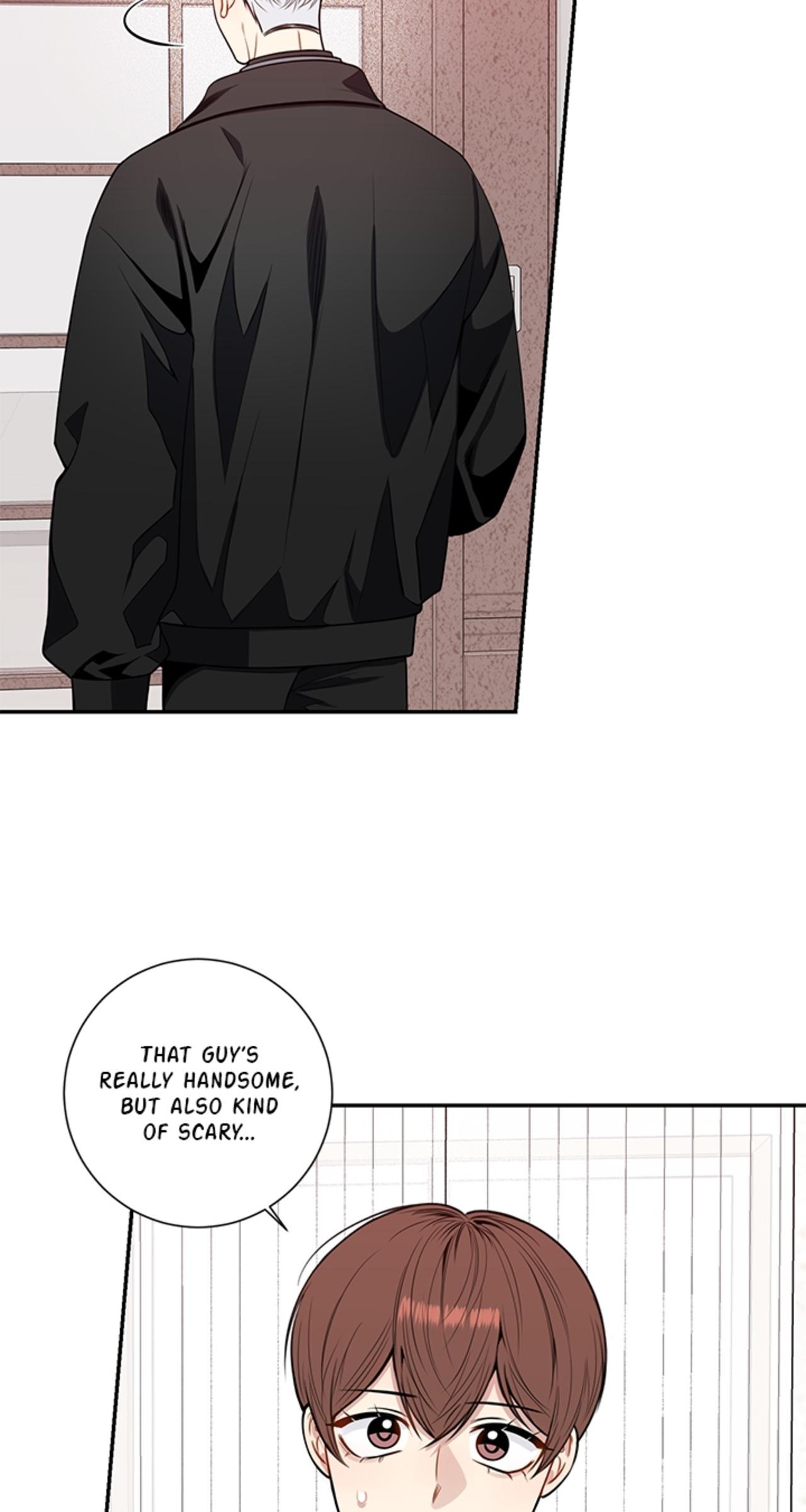 Read Cherry Blossoms After Winter Manga Online