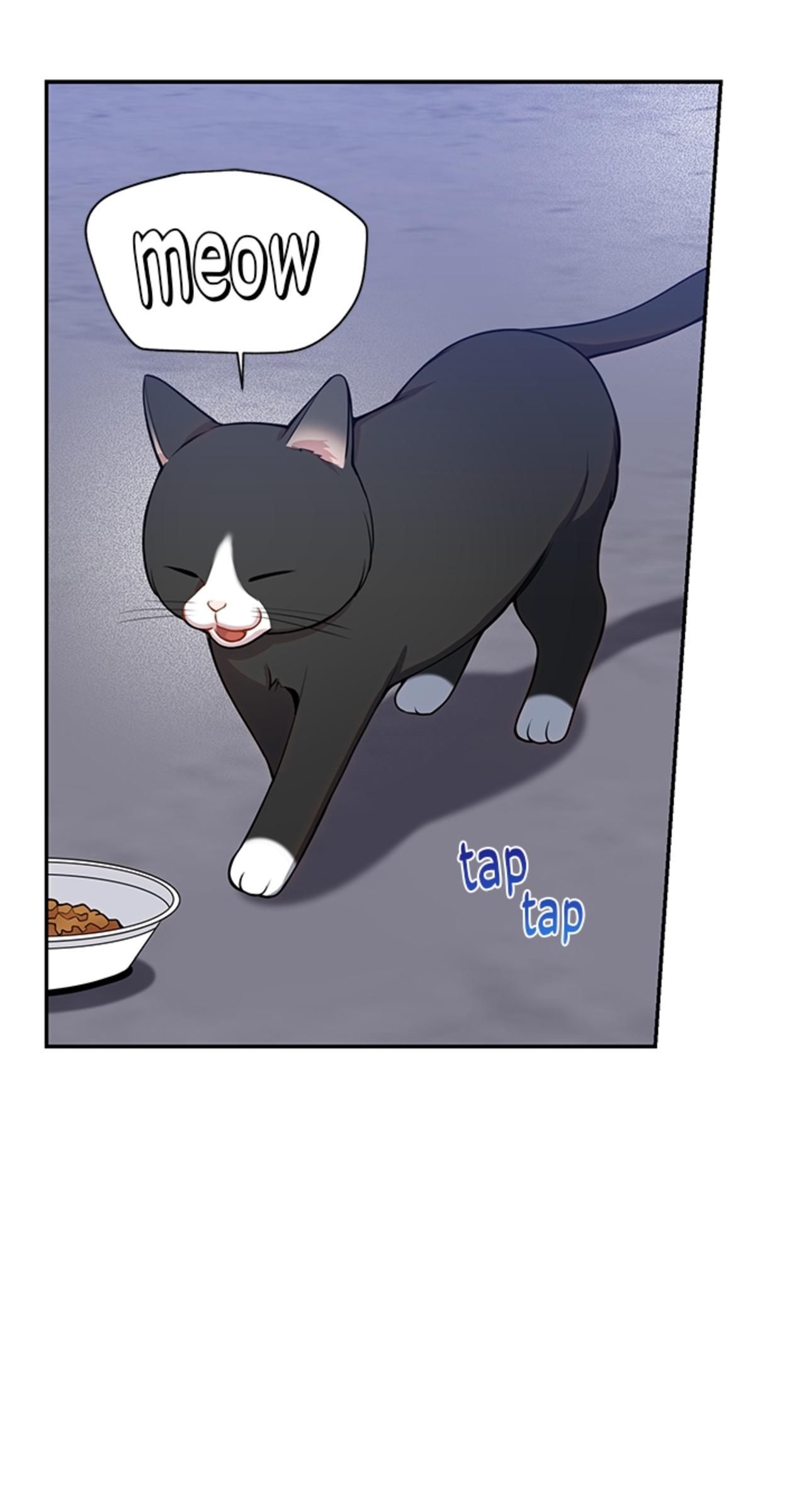 Read Cherry Blossoms After Winter Manga Online