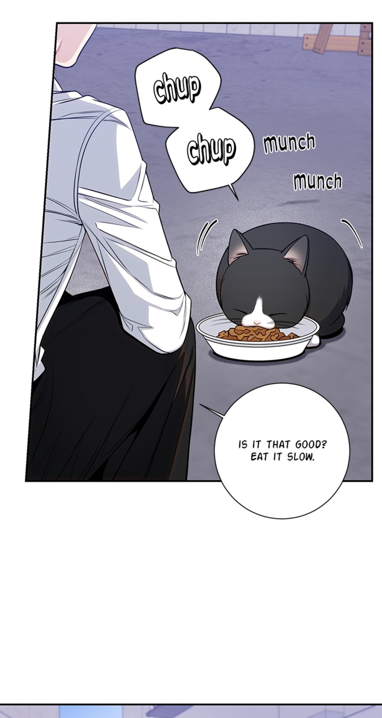 Read Cherry Blossoms After Winter Manga Online