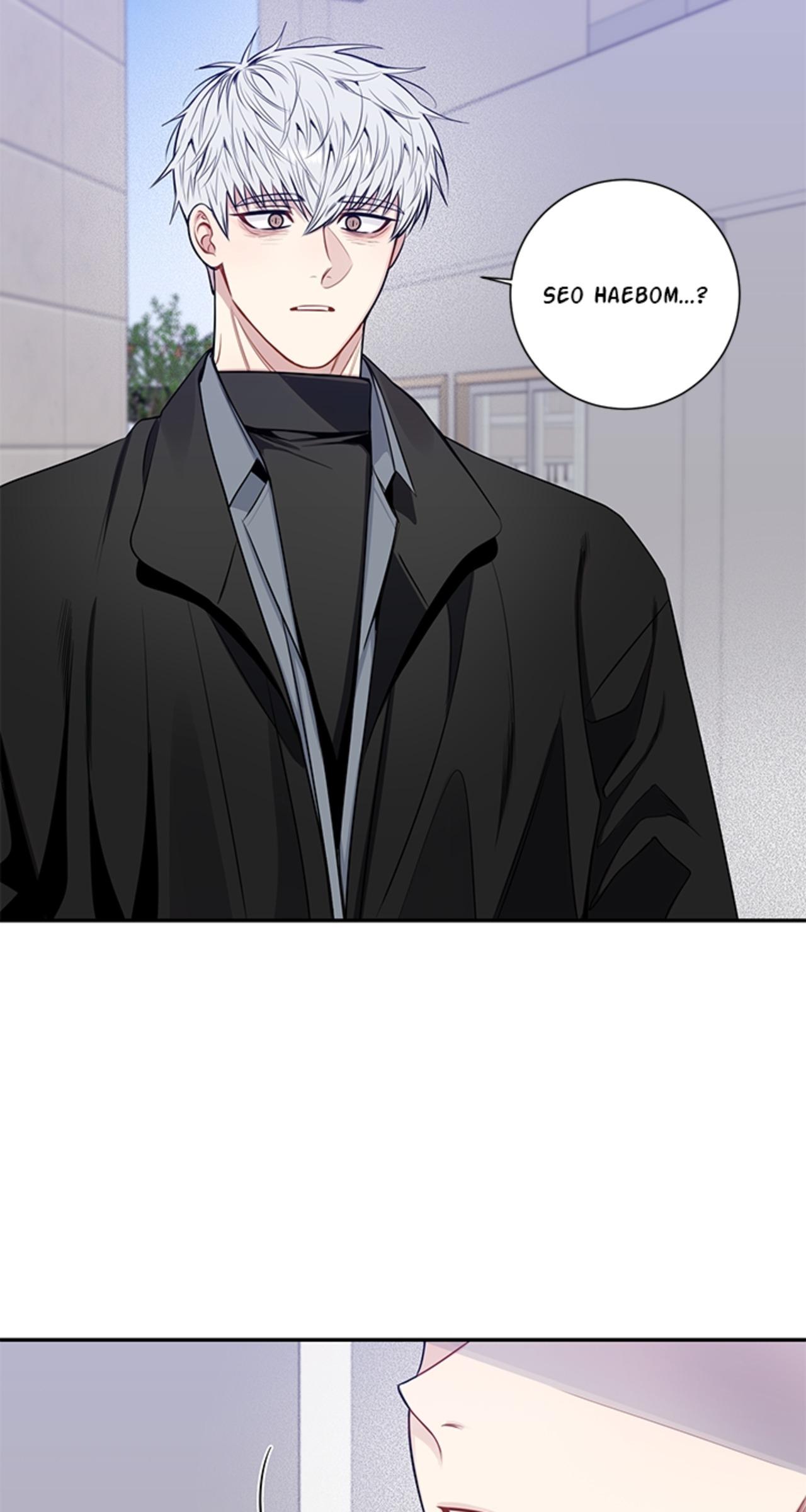 Read Cherry Blossoms After Winter Manga Online