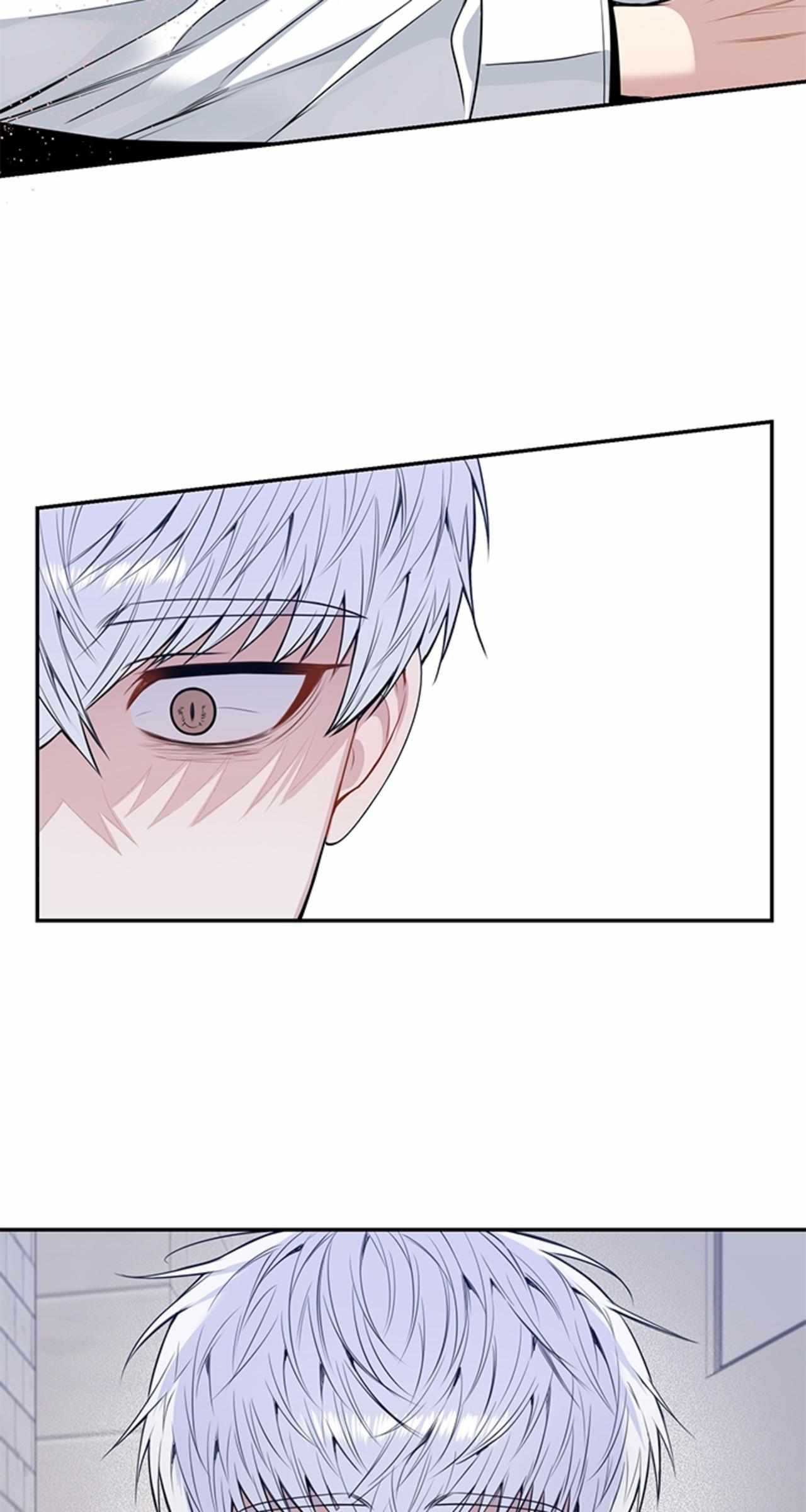 Read Cherry Blossoms After Winter Manga Online