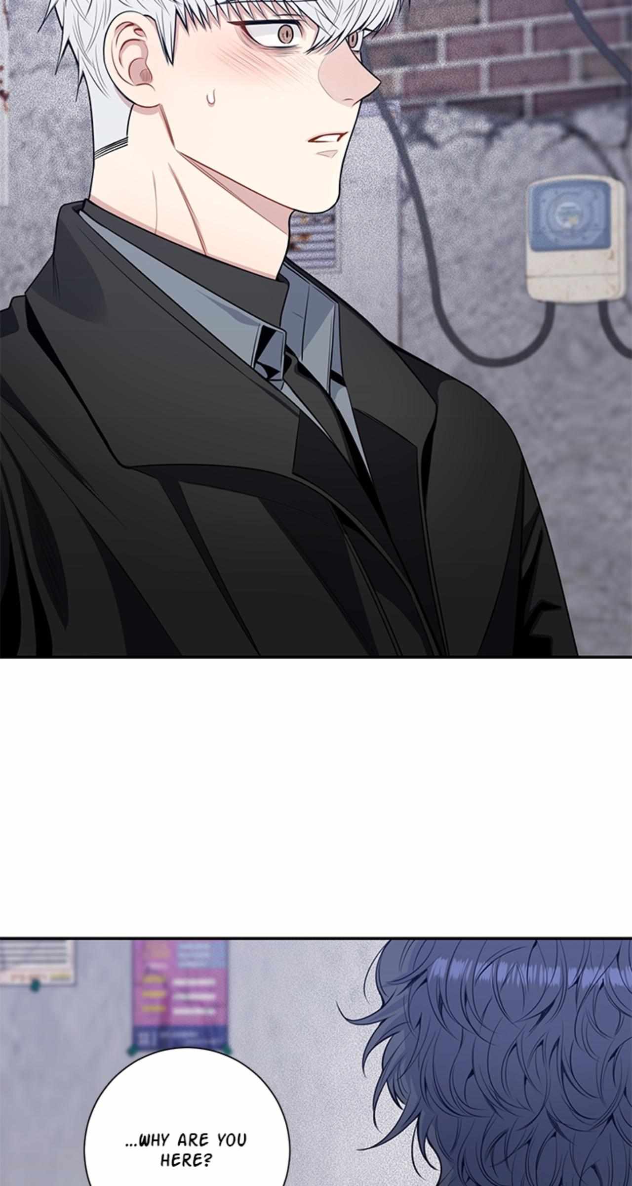 Read Cherry Blossoms After Winter Manga Online