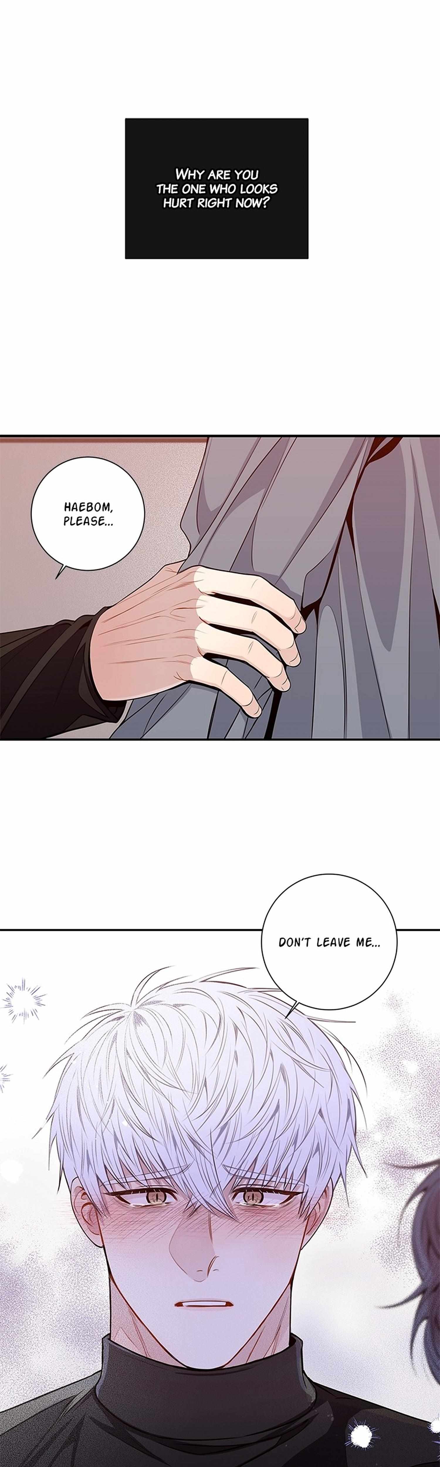 Read Cherry Blossoms After Winter Manga Online