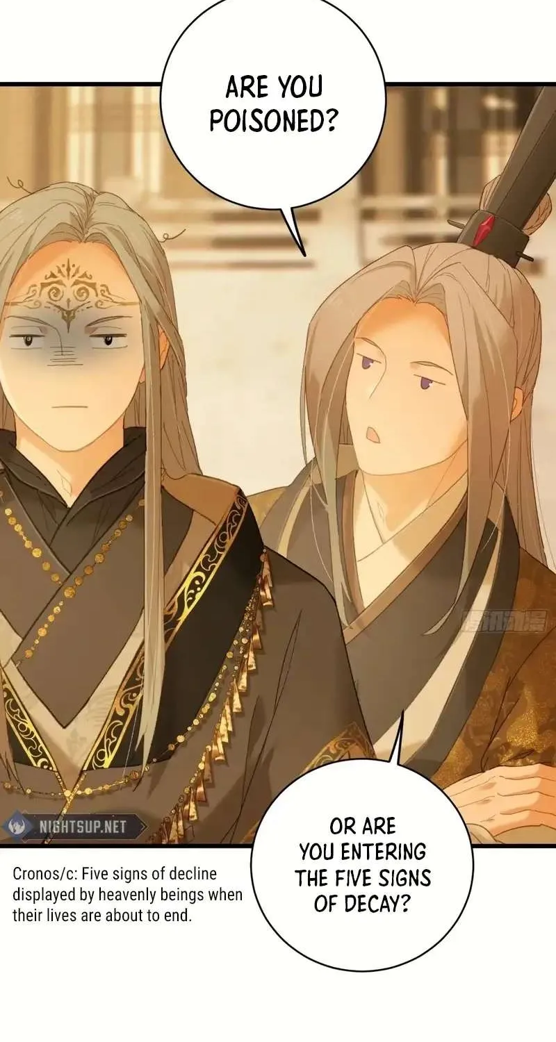 Read Chronicle of Runes Manga Online