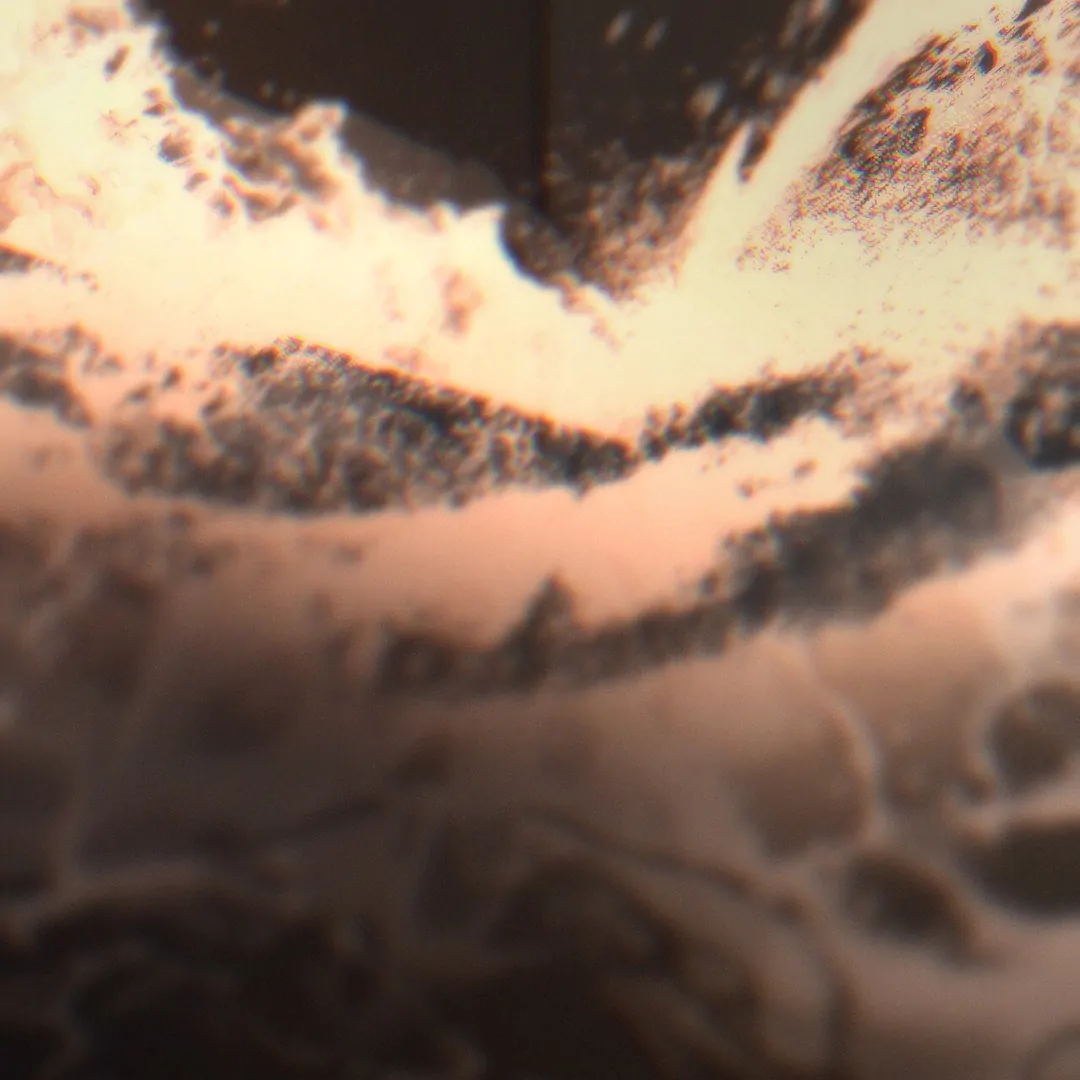 Read Codename Anastasia Manga Online