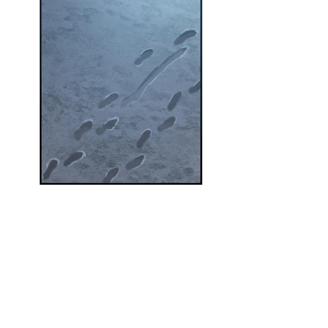 Read Codename Anastasia Manga Online