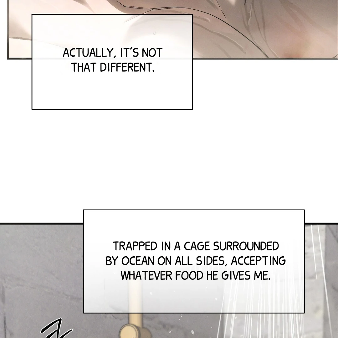 Read Codename Anastasia Manga Online