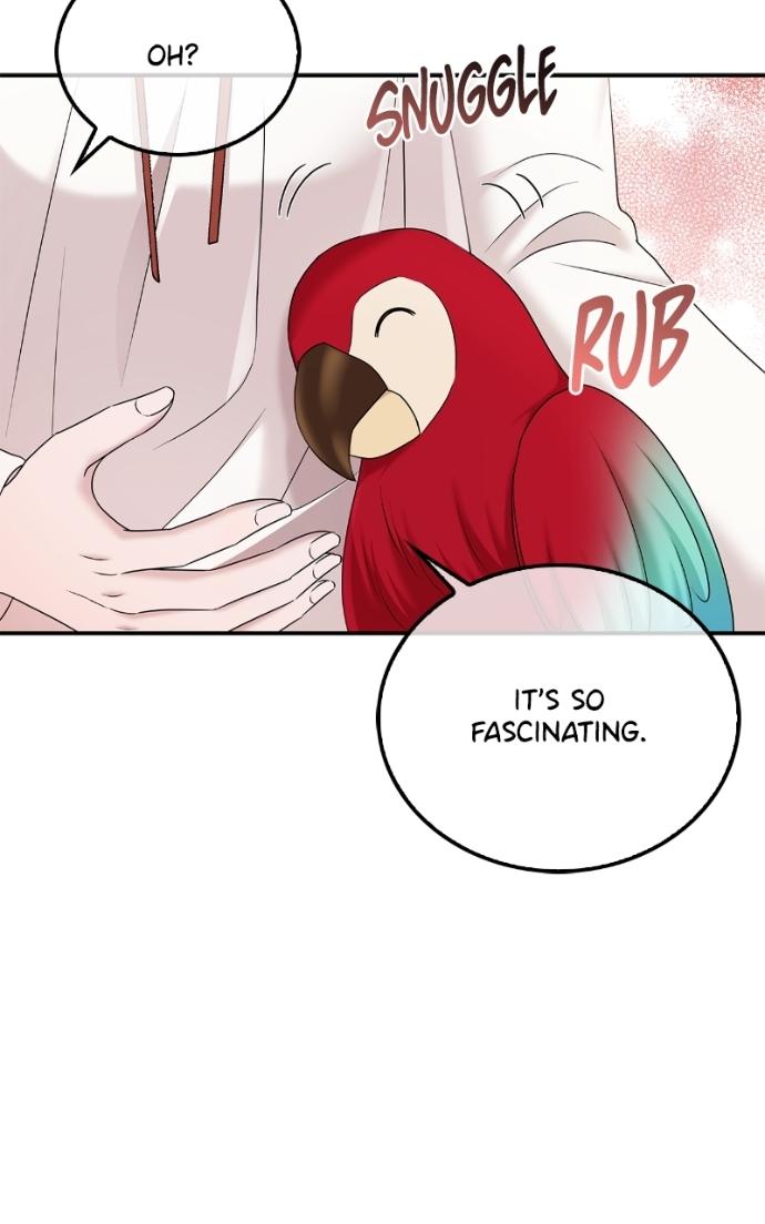 Read Couple, How Far You Can Go Manga Online