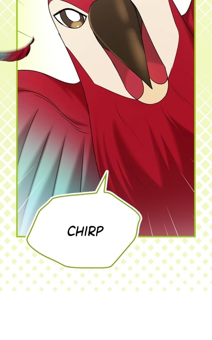 Read Couple, How Far You Can Go Manga Online