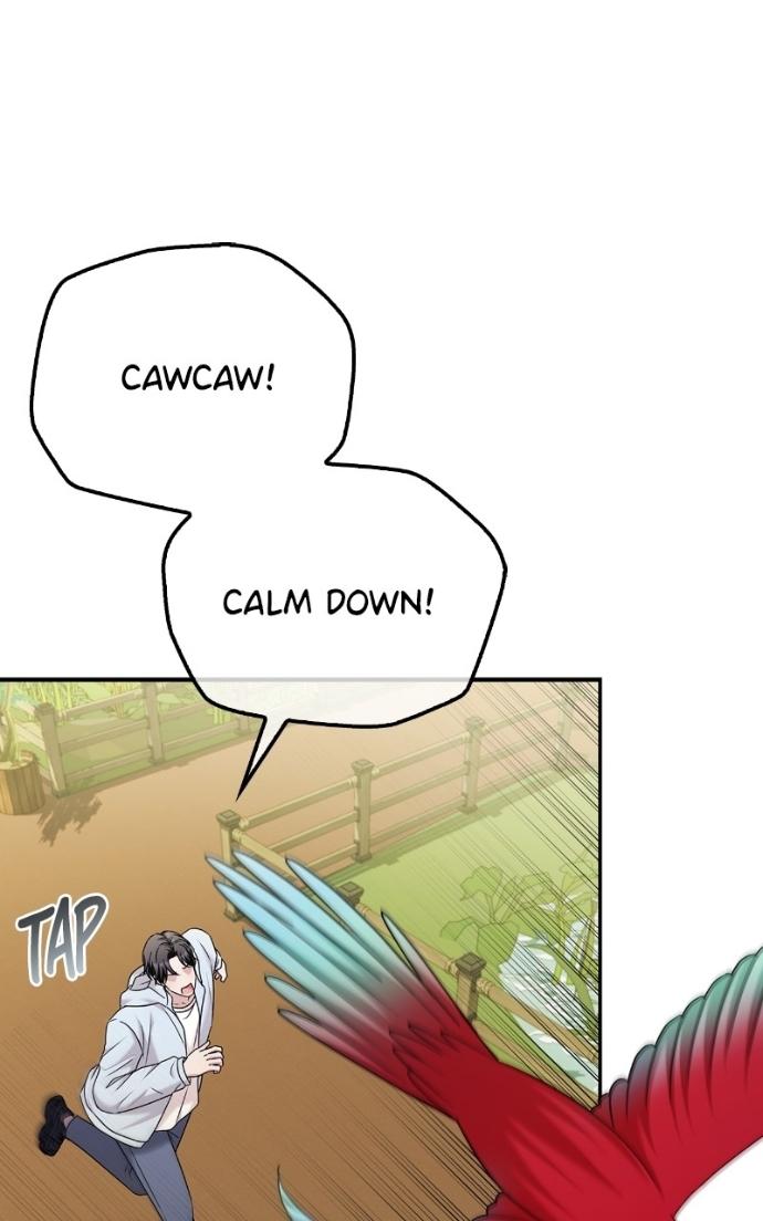 Read Couple, How Far You Can Go Manga Online