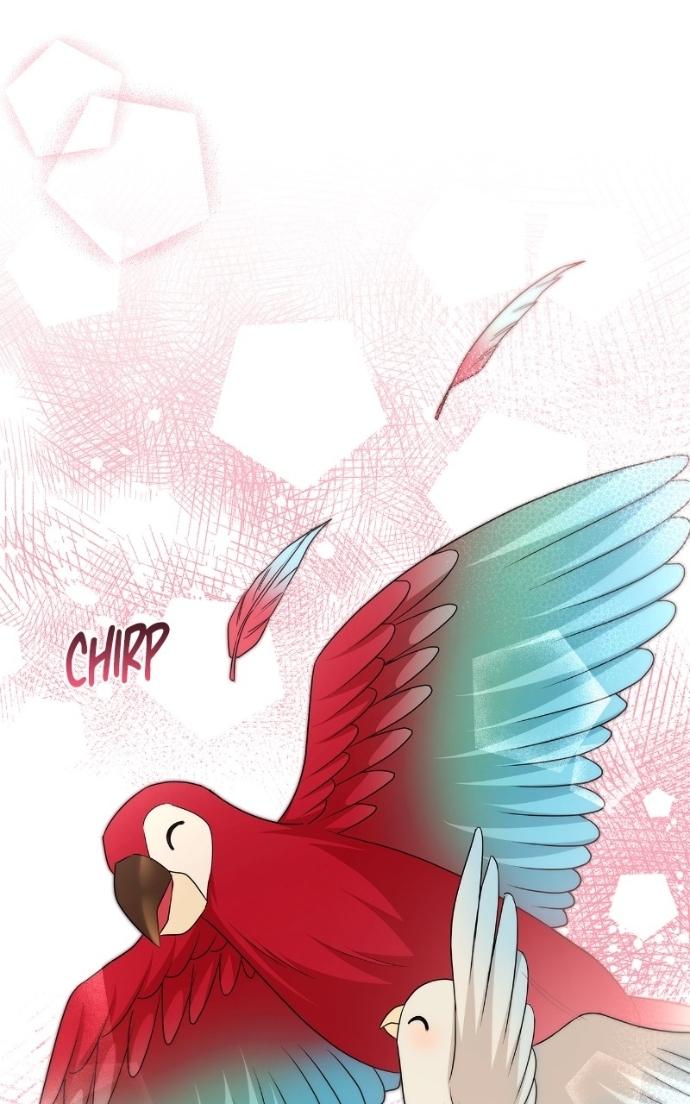 Read Couple, How Far You Can Go Manga Online