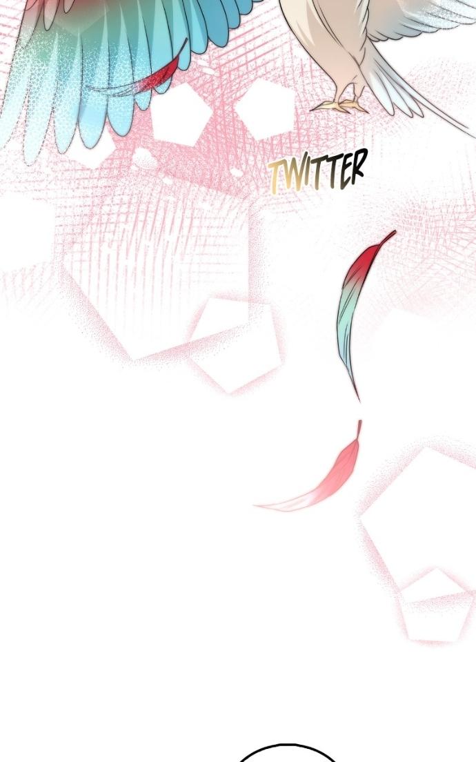 Read Couple, How Far You Can Go Manga Online