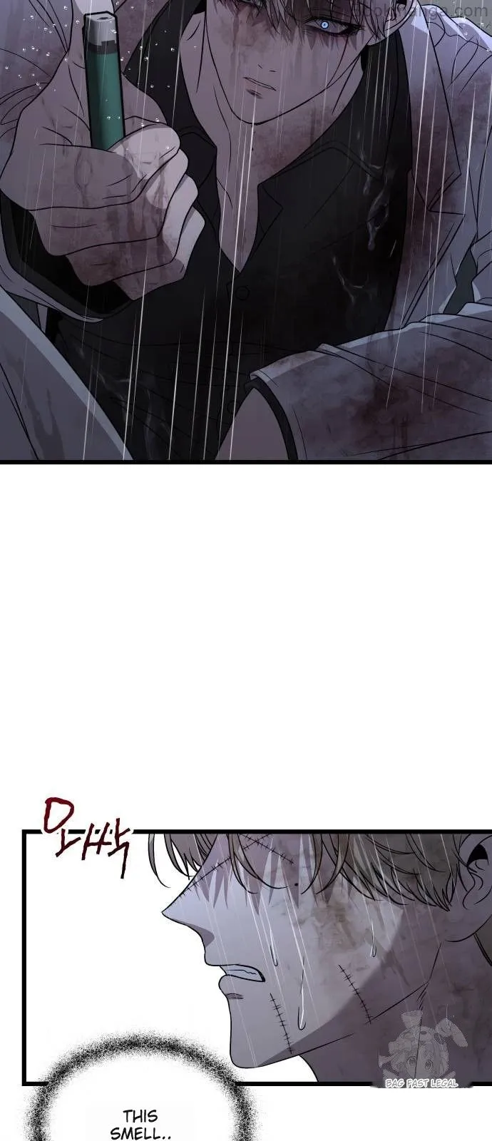 Read Dreaming Freedom Manga Online