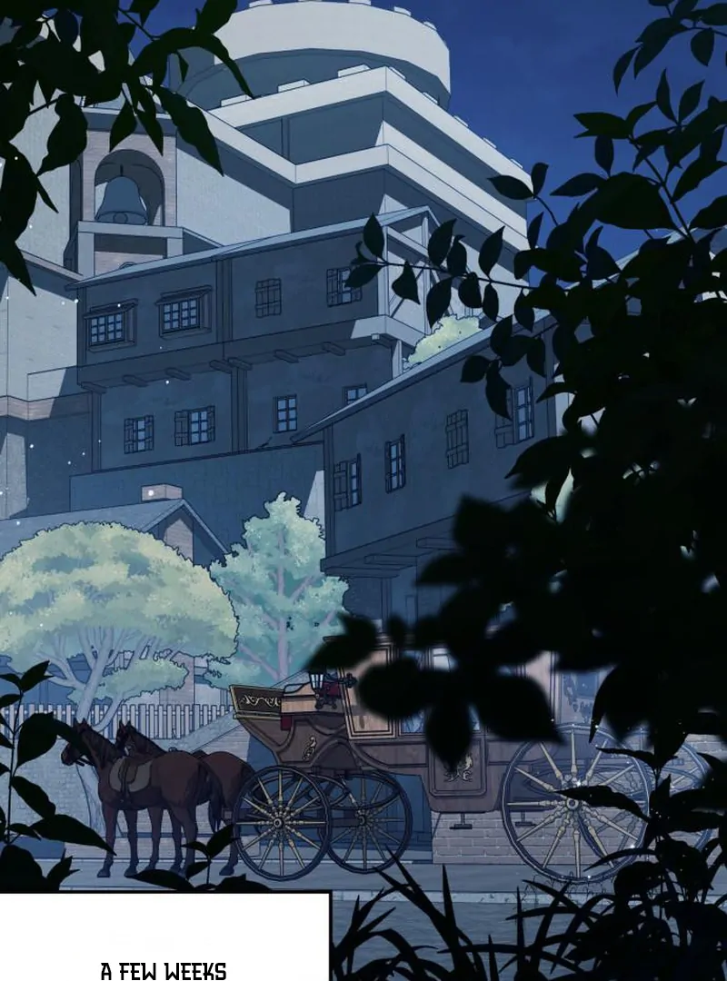 Read Duchess in Ruins Manga Online