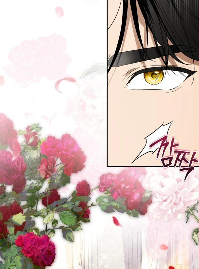 Read Duchess in Ruins Manga Online