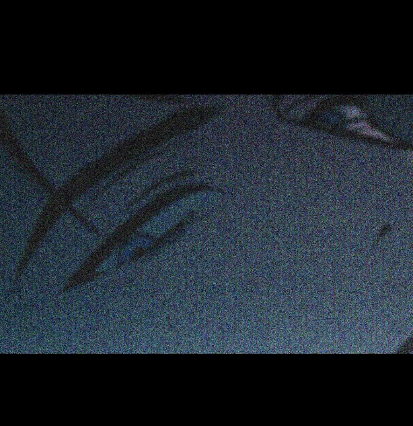 Read Flashlight Manga Online