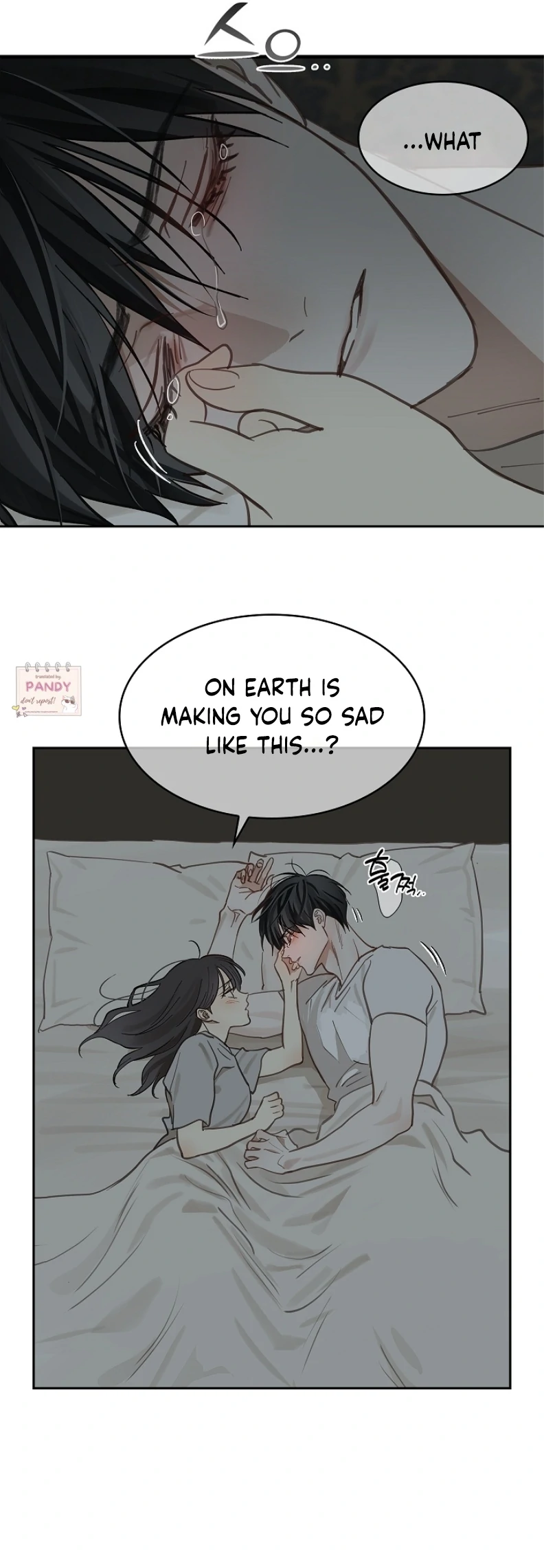 Read Flowers Are Bait Manga Online