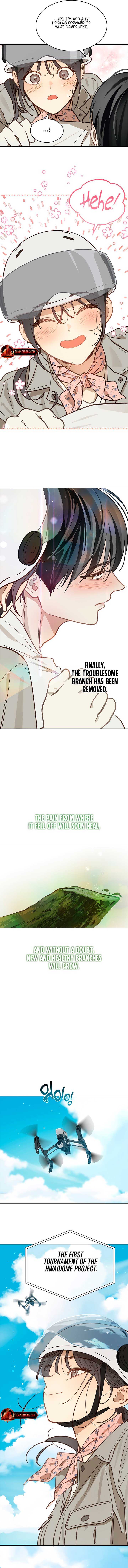 Read Flowers Are Bait Manga Online