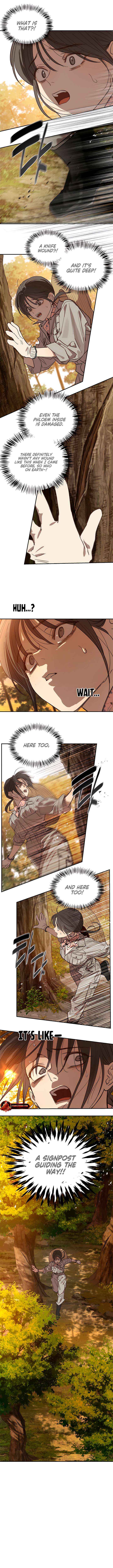 Read Flowers Are Bait Manga Online