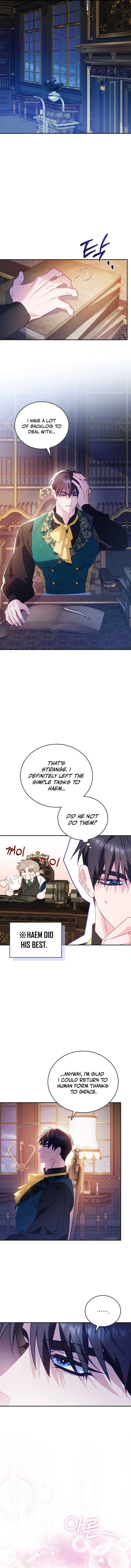Read Honey, I Think That’s a Misunderstanding Manga Online
