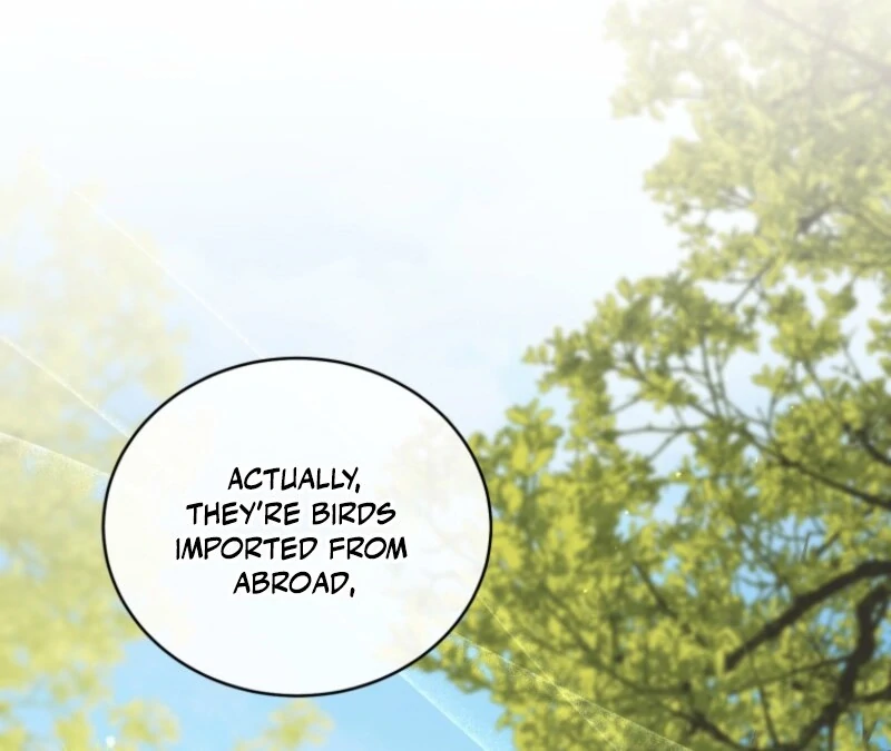 Read Honey, I Think That’s a Misunderstanding Manga Online