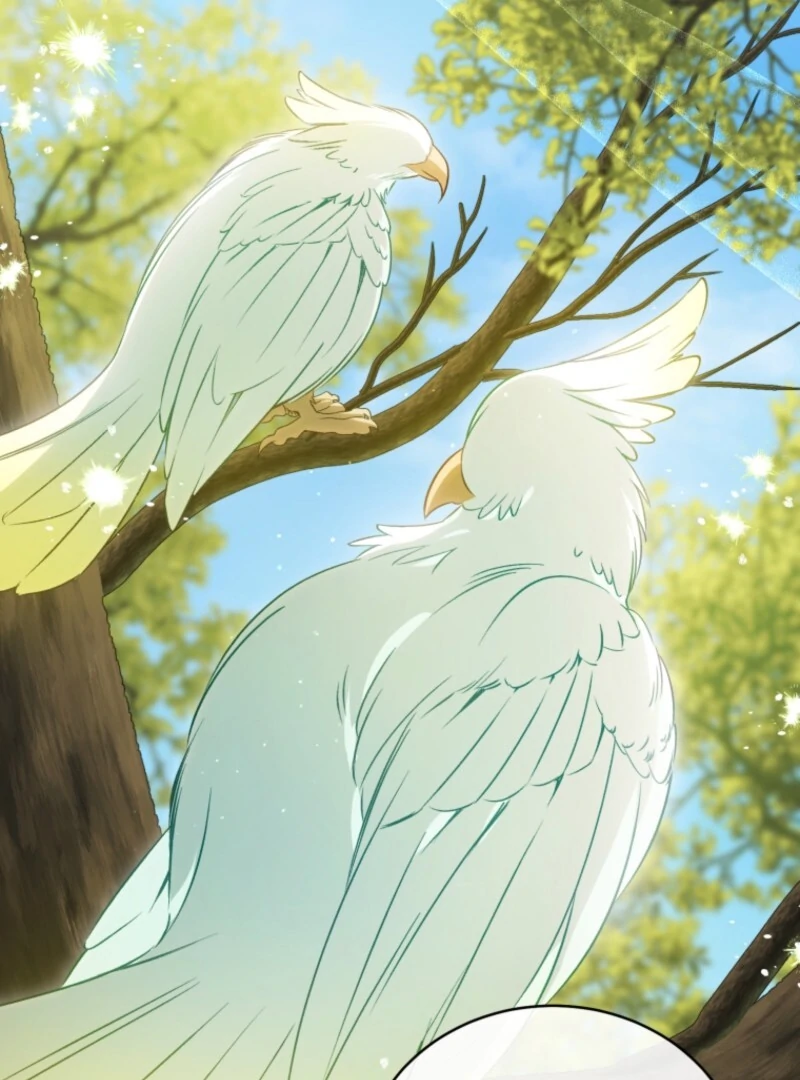 Read Honey, I Think That’s a Misunderstanding Manga Online