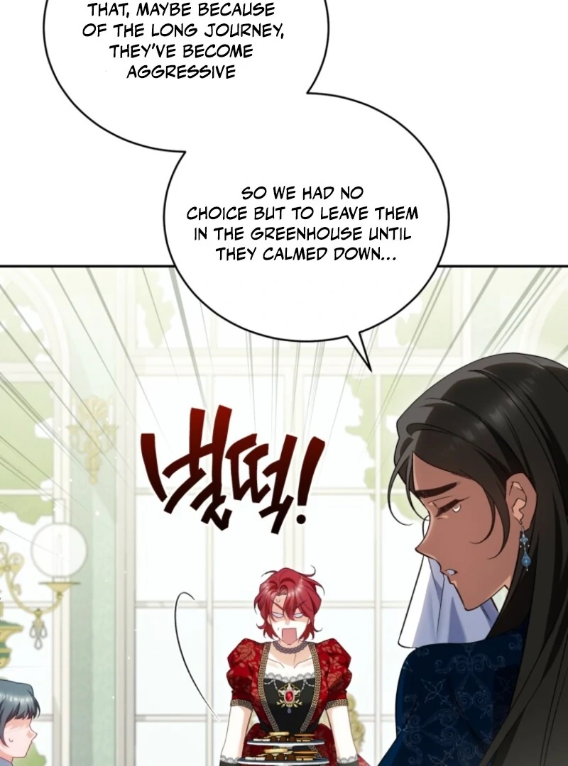 Read Honey, I Think That’s a Misunderstanding Manga Online