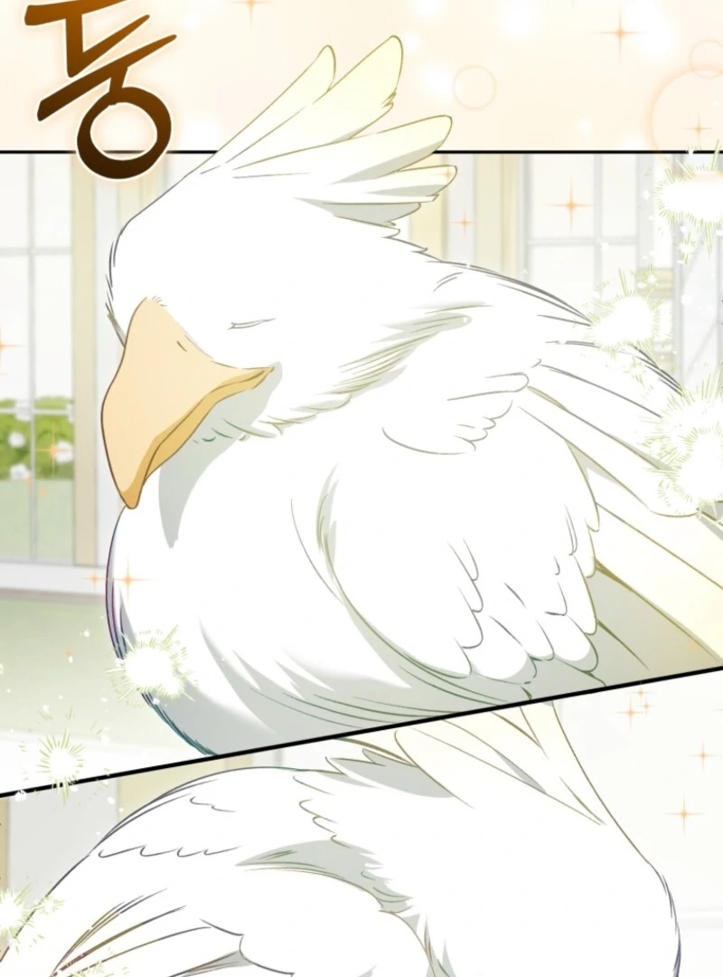 Read Honey, I Think That’s a Misunderstanding Manga Online