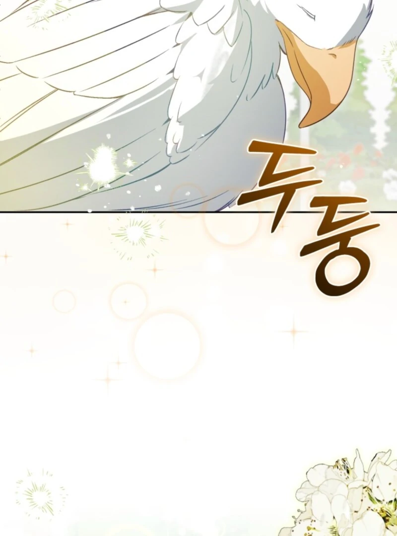 Read Honey, I Think That’s a Misunderstanding Manga Online