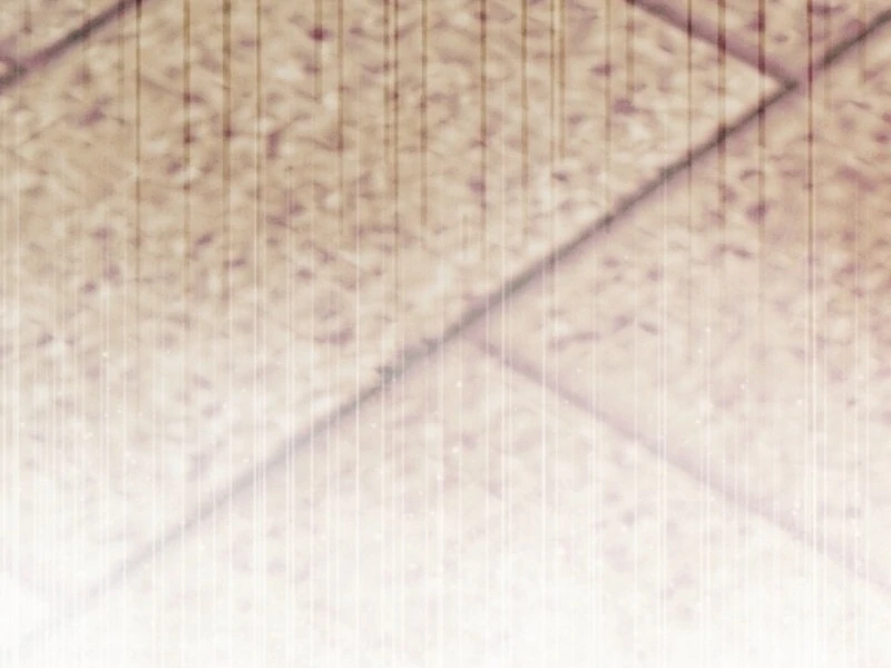 Read I Am Living an Unmarried Life With a Terminally Ill Lover Manga Online