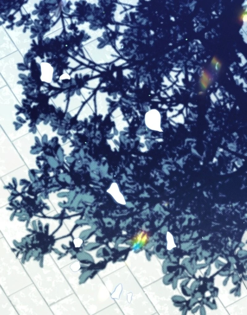 Read I Am Living an Unmarried Life With a Terminally Ill Lover Manga Online