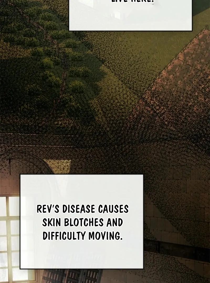 Read I Became A Squirrel Saving The Villain Manga Online