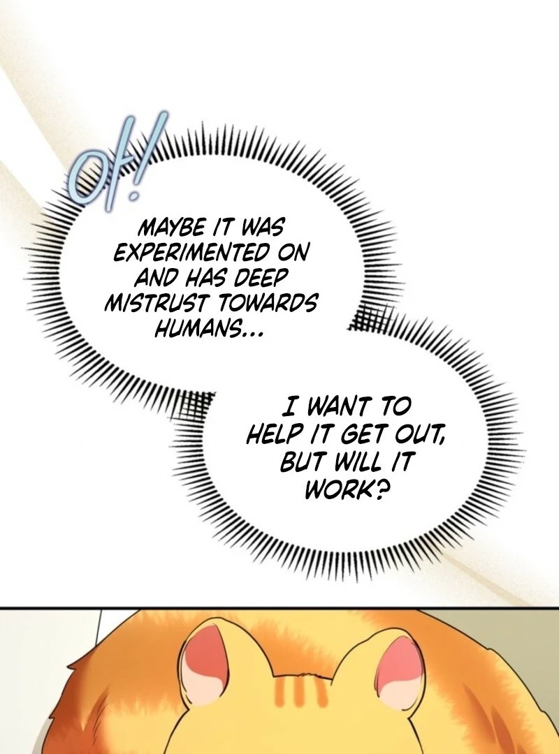 Read I Became A Squirrel Saving The Villain Manga Online