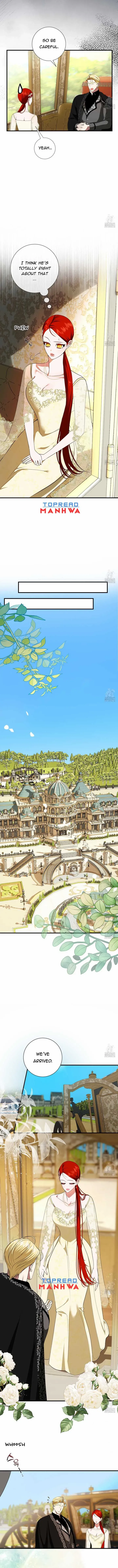 Read I Became My Son’s First Love Manga Online