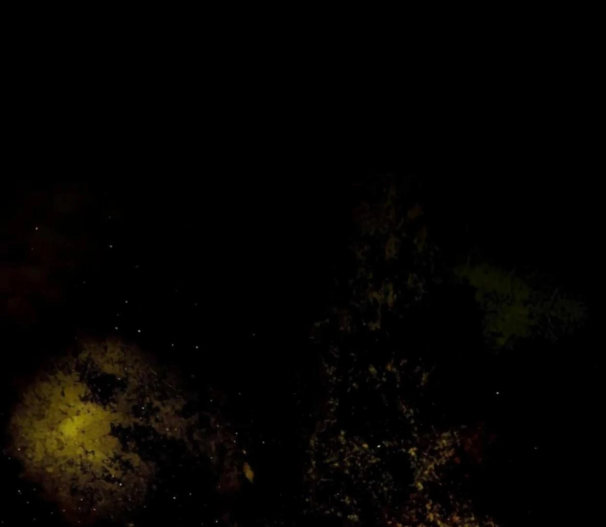 Read I Became My Son’s First Love Manga Online