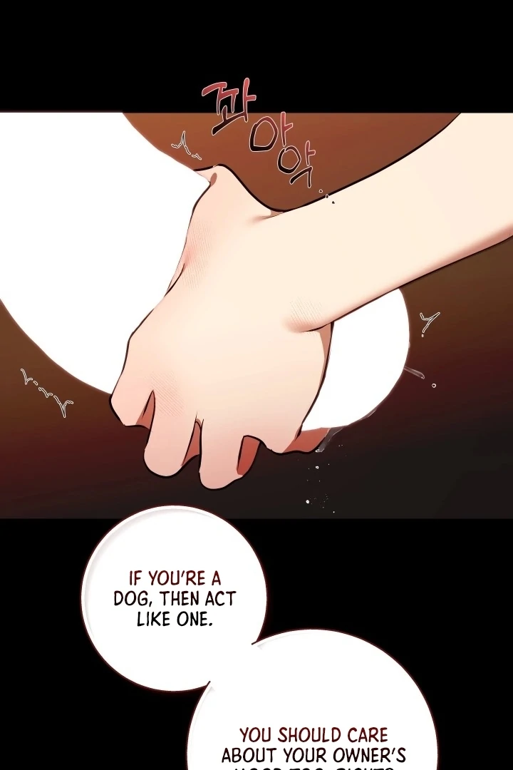 Read I Became My Son’s First Love Manga Online