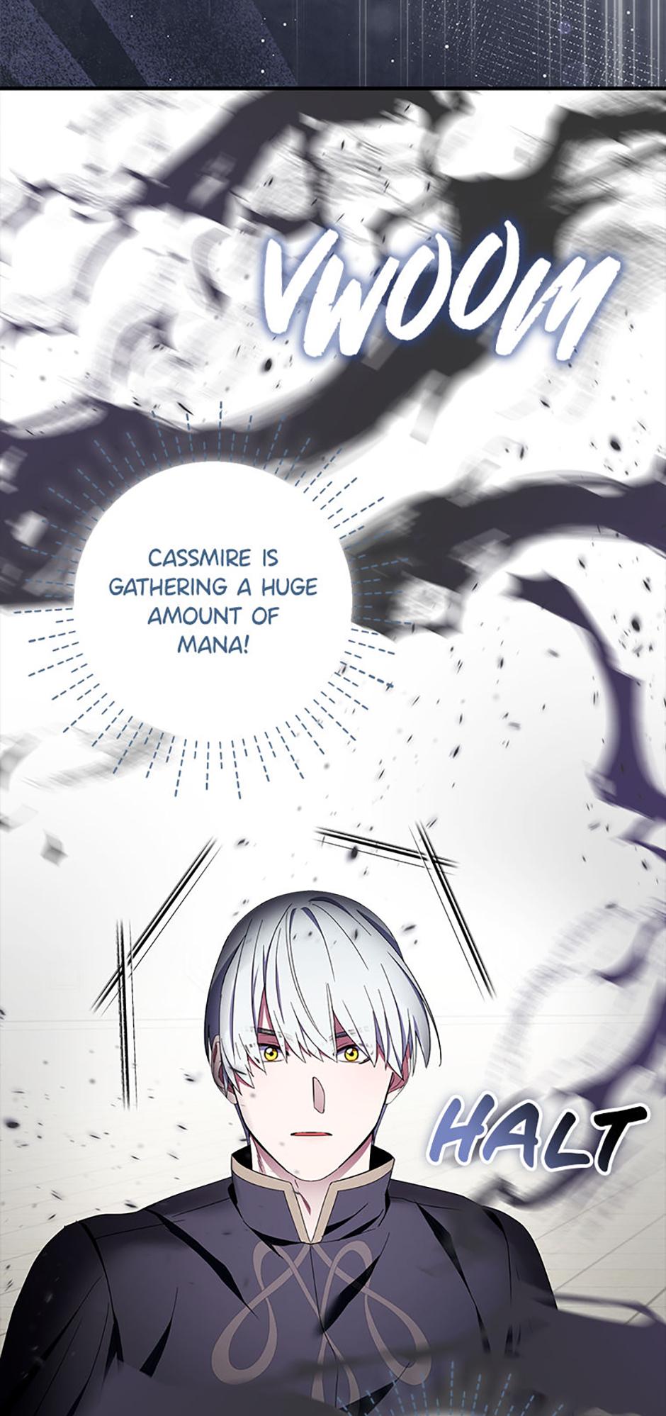 Read I Tried To Be Her Loyal Sword Manga Online