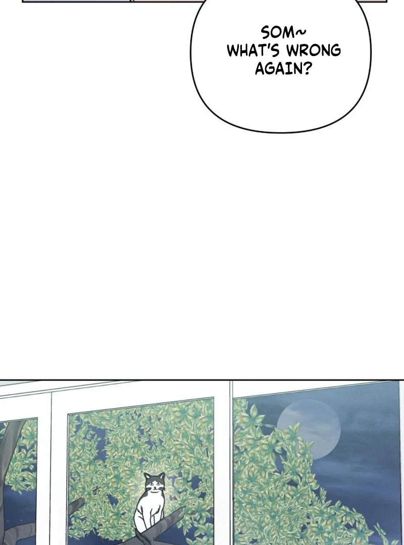 Read I Want To Be Fooled Manga Online