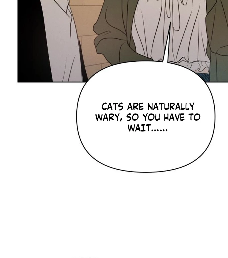 Read I Want To Be Fooled Manga Online