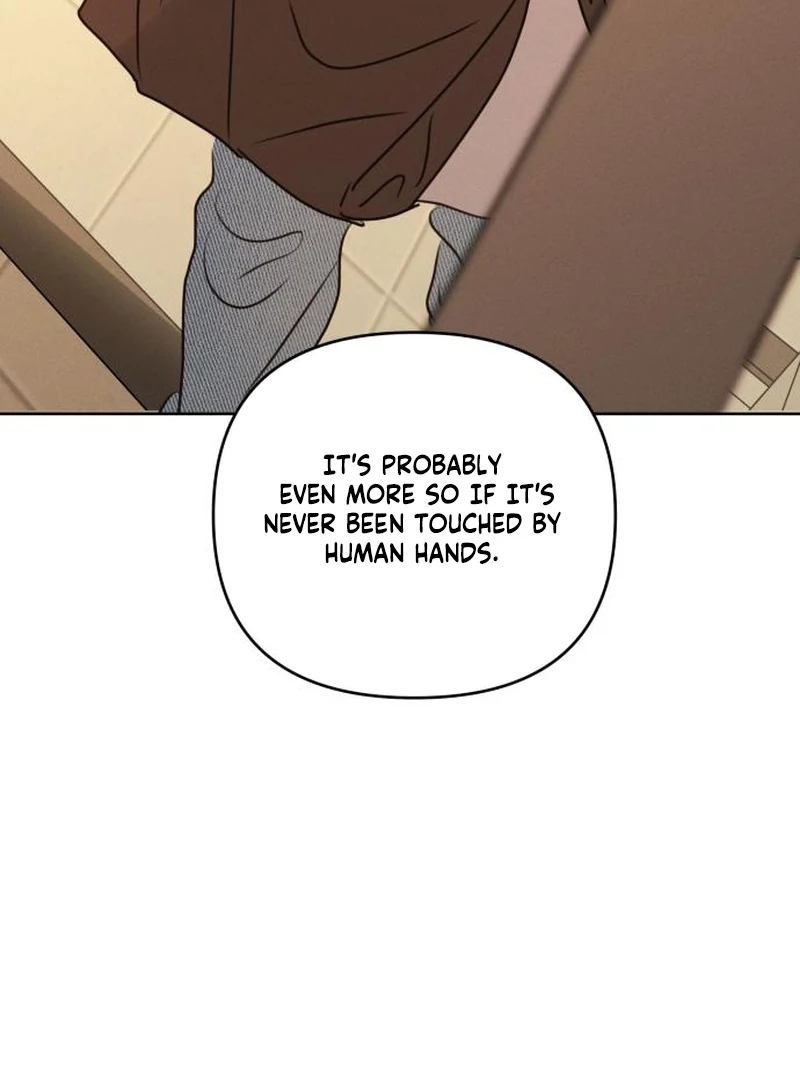 Read I Want To Be Fooled Manga Online