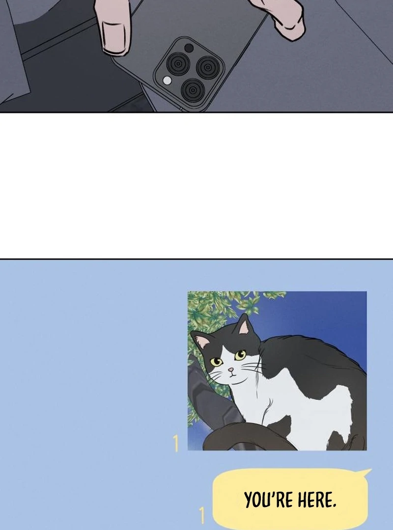 Read I Want To Be Fooled Manga Online