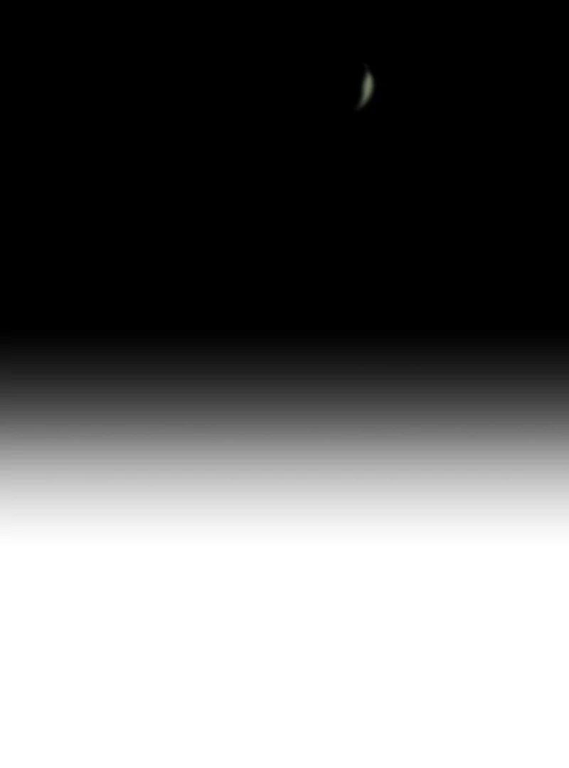 Read I Want To Be Fooled Manga Online