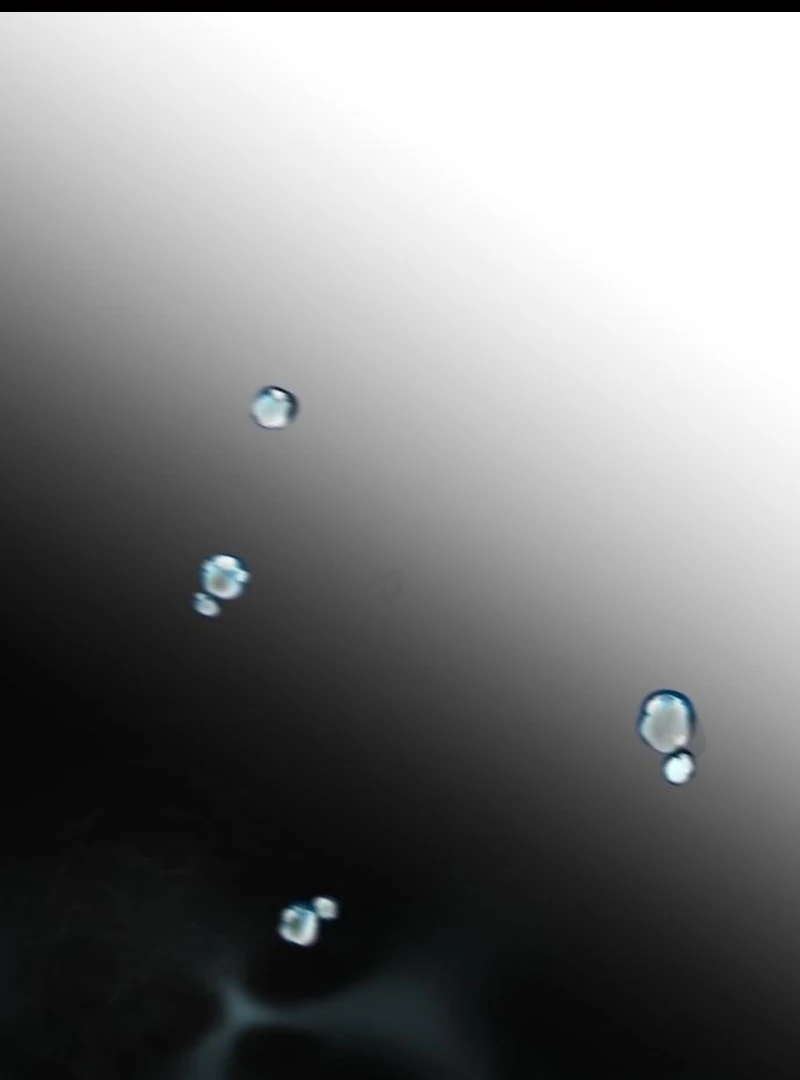 Read I Want To Be Fooled Manga Online