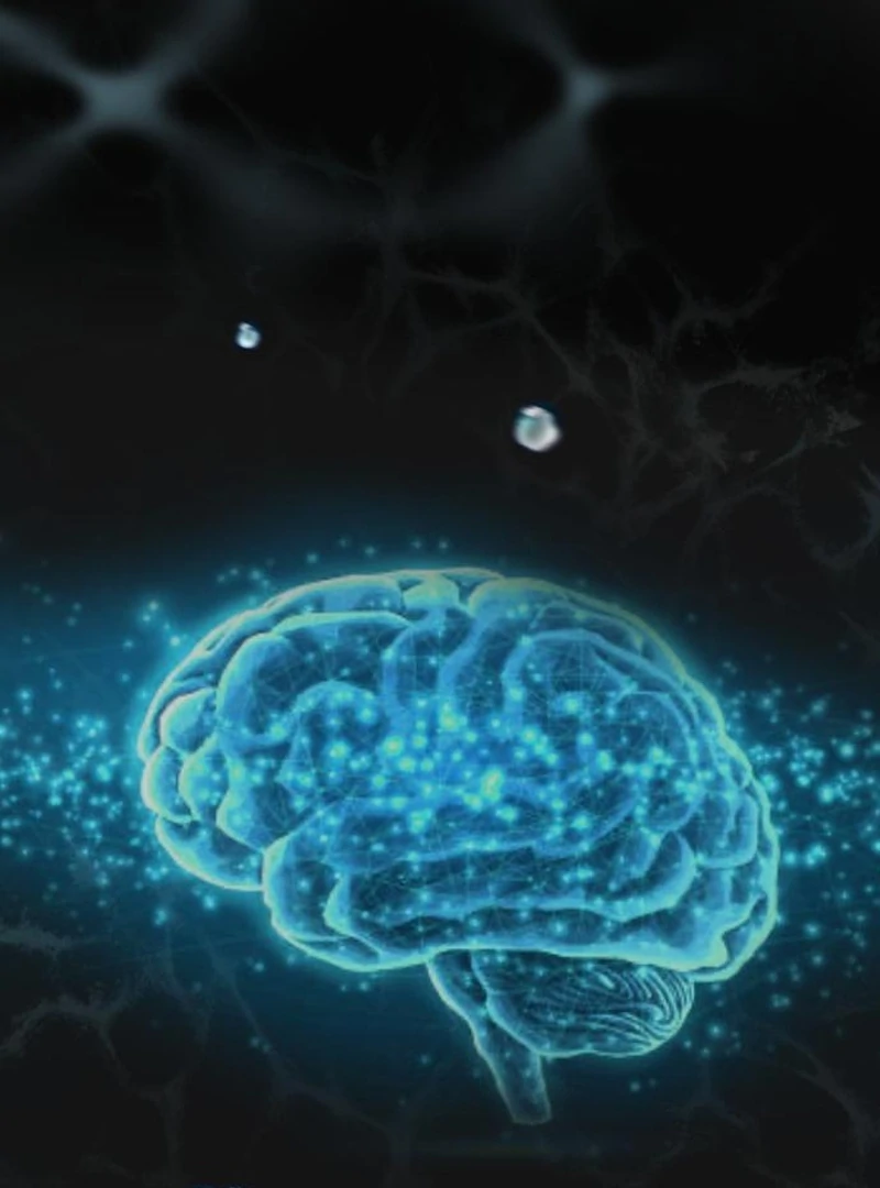 Read I Want To Be Fooled Manga Online