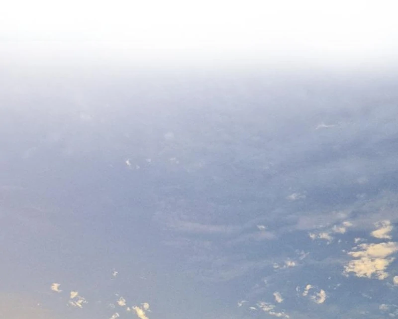 Read I Want To Be Fooled Manga Online