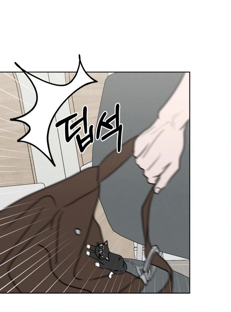 Read I Want To Be Fooled Manga Online